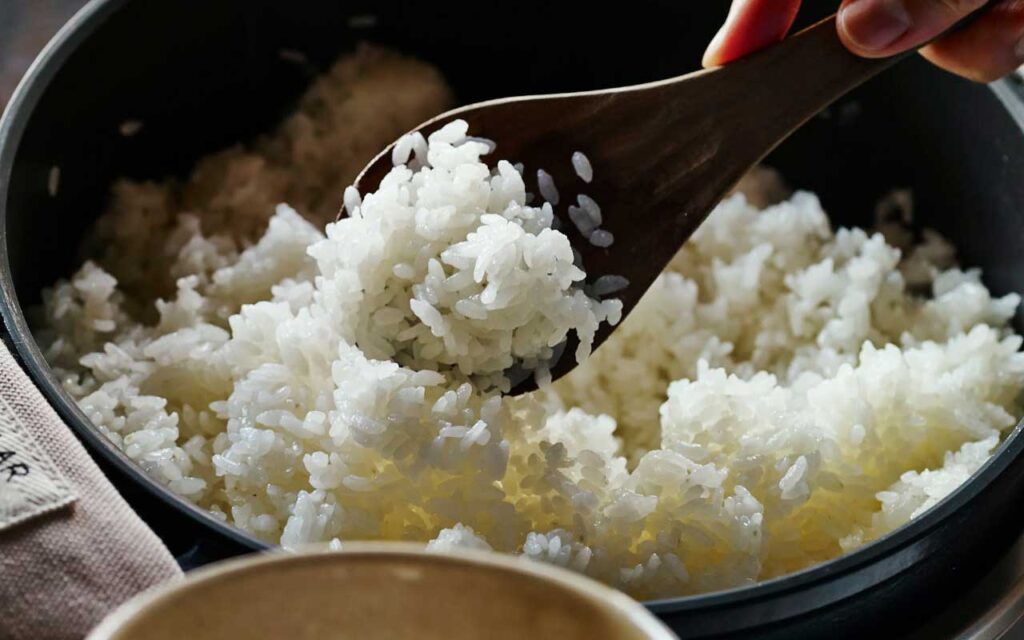 バーミキュラ炊飯器で炊いたふっくらごはん