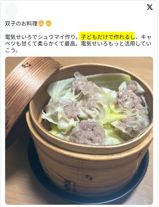 電気蒸し器のメリット　子供でもつくれる